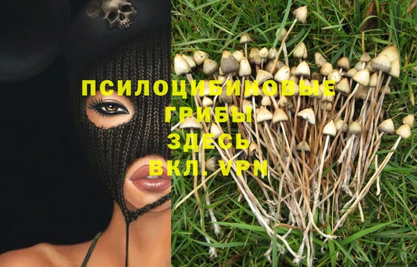 экстази Алексин