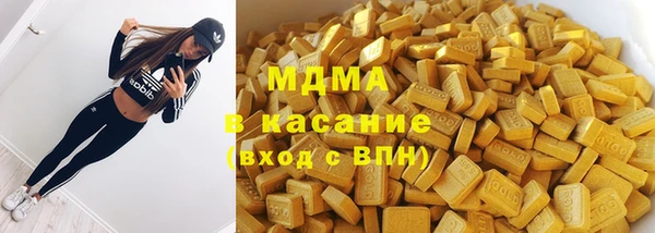 индика Приозерск