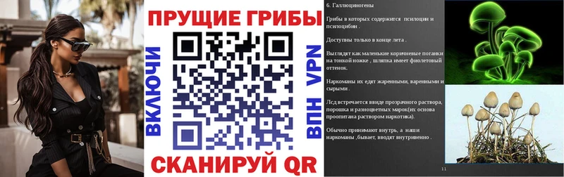 Галлюциногенные грибы Cubensis Дмитров