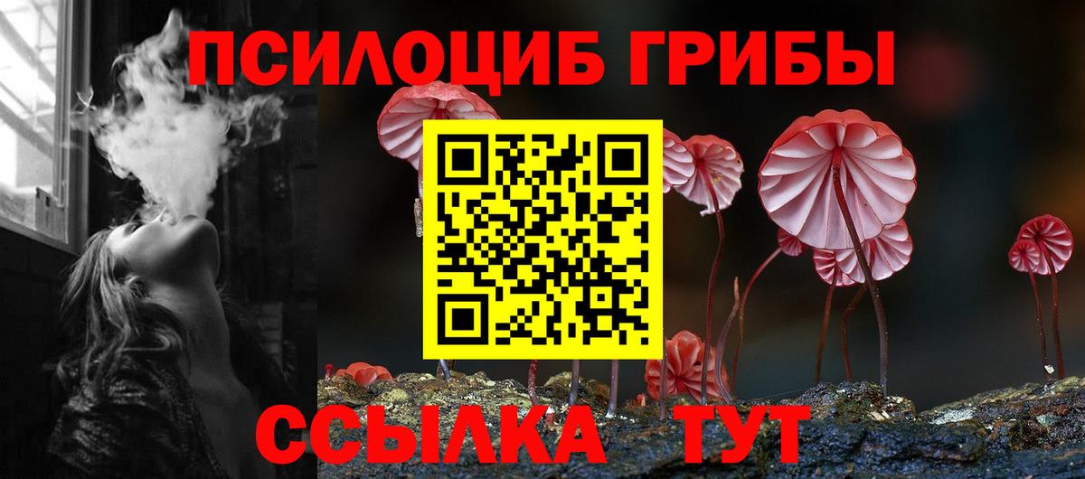 Дмитров  Псилоцибиновые грибы ЛСД  Вход с VPN 